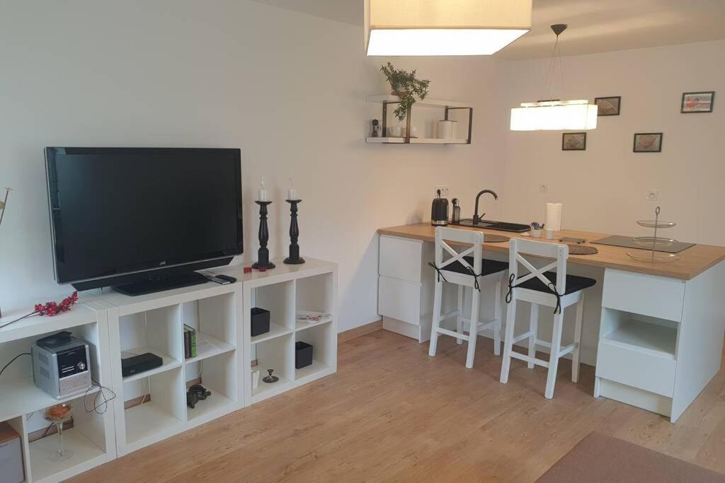 Apartament przy samym jeziorze Olsztyn  Zewnętrze zdjęcie