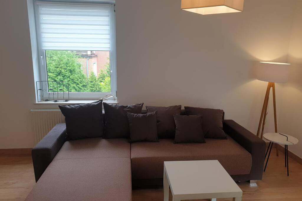 Apartament przy samym jeziorze Olsztyn  Zewnętrze zdjęcie